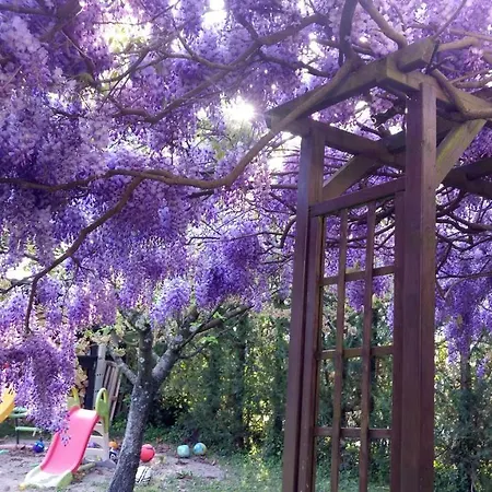 Bed & Breakfast Les Champs Dores 3*